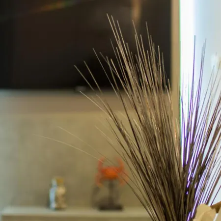 Apartment Luxury With Swimming Pool And Prime Location In Trogir