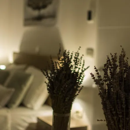 Apartment Luxury With Swimming Pool And Prime Location In Trogir